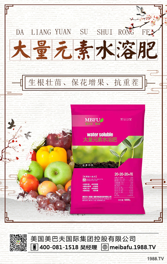 向日葵對種植條件有哪些？花菜的種植管理要點！