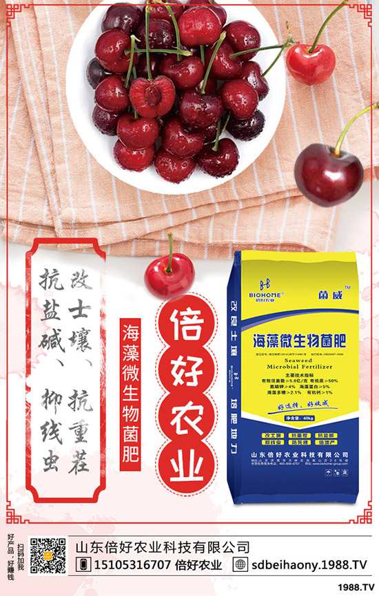 注意:尿素行情,又有新變化?2020-4-16來(lái)看各地最新報(bào)價(jià)!