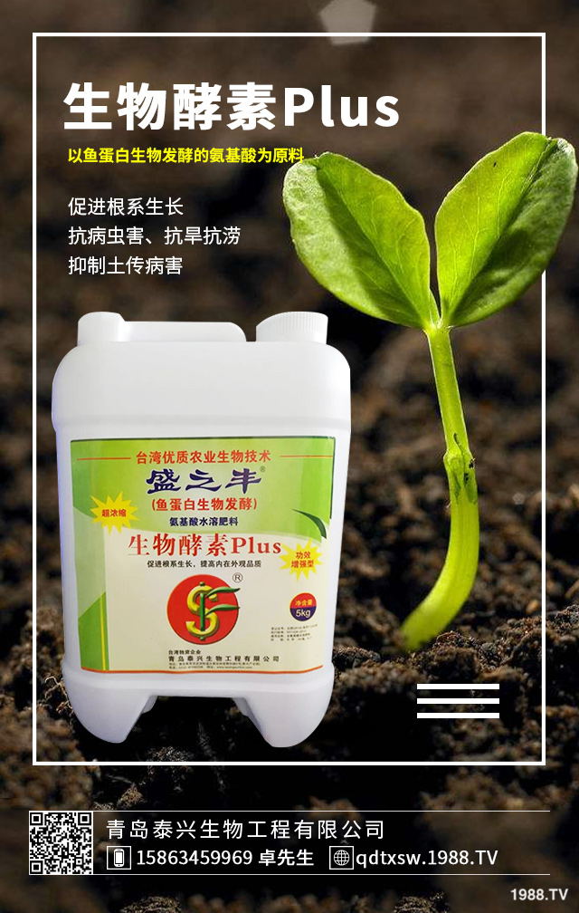 卷心菜該如何挑選?卷心菜的選購(gòu)技巧及功效作用