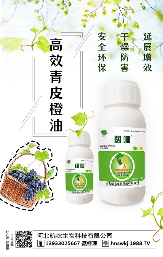 草莓各時期怎樣施肥產(chǎn)量高,草莓施肥技術(shù)要點