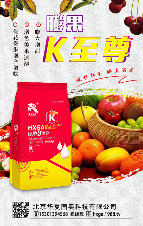 ޱ辰ηNֲޱ辰ķNֲע