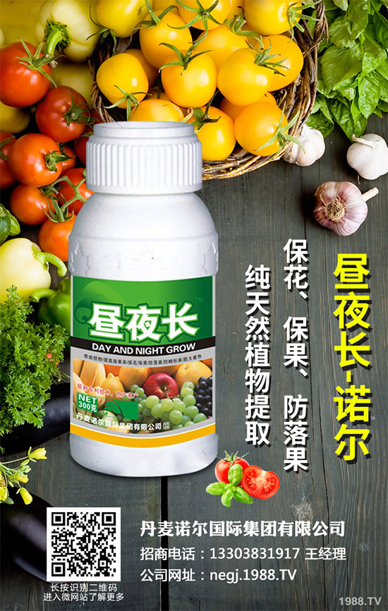 夏芹菜什么時候種植?該如何種植?夏芹菜高產(chǎn)種植技術