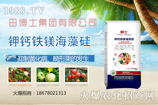 尿素價(jià)格