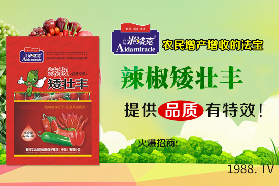 辣椒葉子卷曲由什么原因導致?辣椒葉子卷曲防治措施!