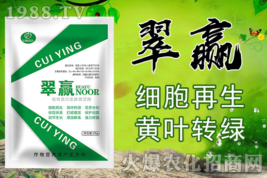 蘋(píng)果苦痘病防治