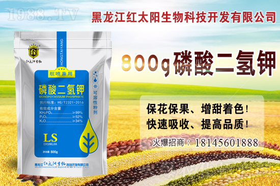 2021年小麥價(jià)格多少錢(qián)一斤?2月小麥價(jià)格會(huì)漲嗎?