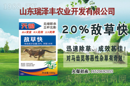 2021��1��9�Ք��ݿ���݄��r(ji��)���Ӎ