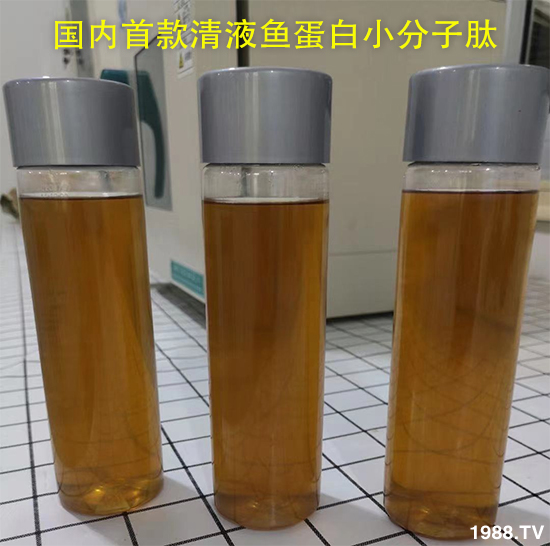 國內清液魚蛋白小分子肽