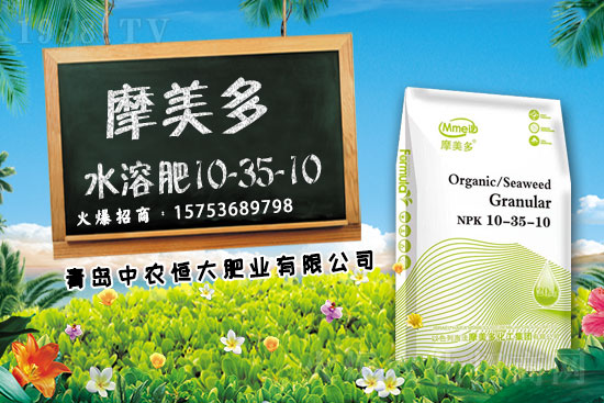 2021��11��15�ս��ڏ�(f��)�Ϸʃr(ji��)�������߄�(sh��)