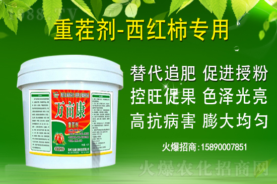 為什么果樹(shù)促梢建議用硝酸銨鈣,不建議用尿素?