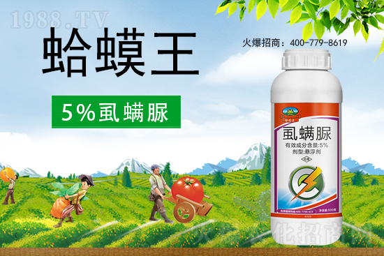 ʭ����������ô�ӣ����x���c(di��n)��ʲô��