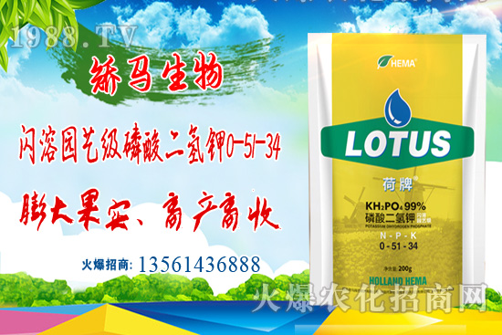 農(nóng)業(yè)農(nóng)村部油料專(zhuān)家指導(dǎo)組:芝麻抗災(zāi)減災(zāi)應(yīng)急方案