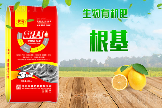 復(fù)合肥出廠報價,2021年9月2日復(fù)合肥價格日報