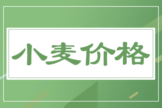 新麥開(kāi)秤價(jià)，一斤多少錢(qián)？5月19日小麥價(jià)格行情
