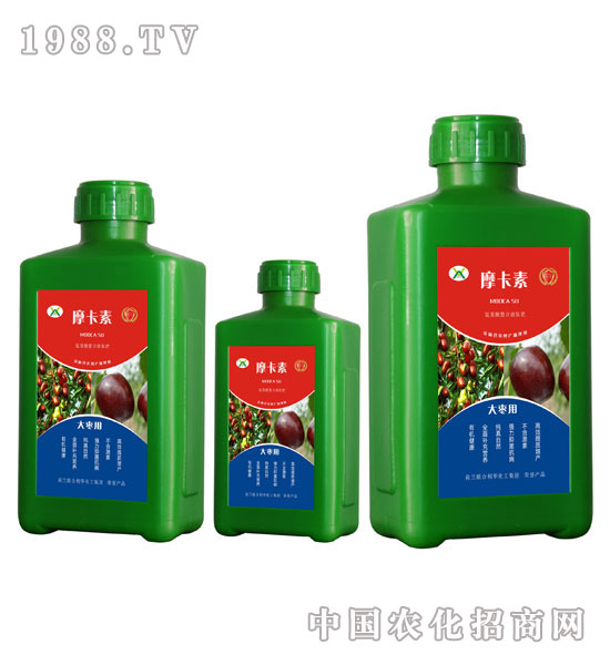 󗗌ðҺķ-Ħ-(qing)о(gu)H