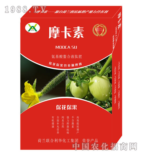 ?；ū９被狎弦弘姆?摩卡素-強(qiáng)芯國(guó)際