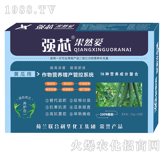 黃瓜用強芯果然愛葉面肥-強芯國際