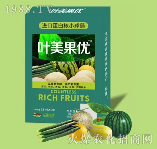 瓜類專用調節(jié)劑-葉美果優(yōu)-億隆農(nóng)業(yè)