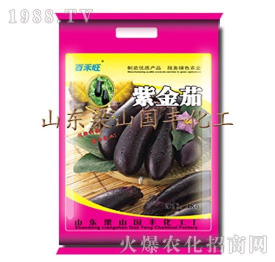 紫金茄-梁山國(guó)豐