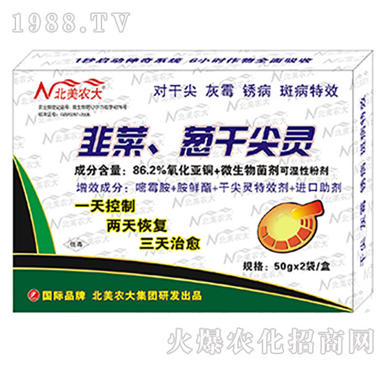 86.2%韭菜、蔥干尖靈-北美農(nóng)大