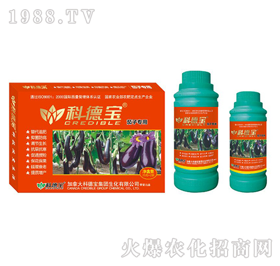 茄子專用營(yíng)養(yǎng)增產(chǎn)調(diào)理劑-科德寶