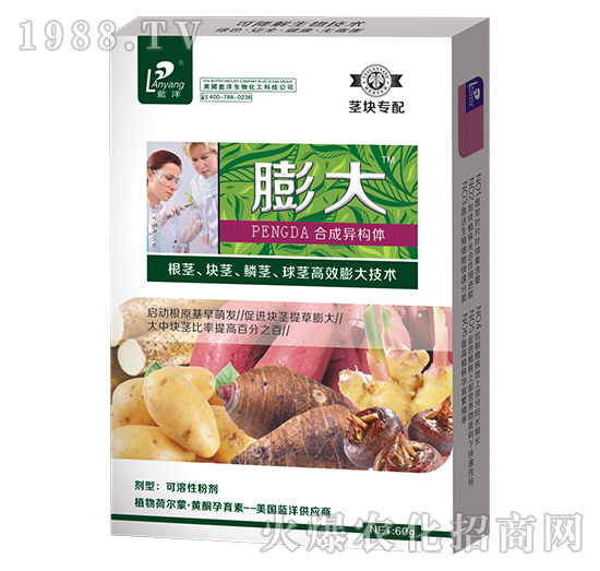 莖塊專配膨大-云臺大化