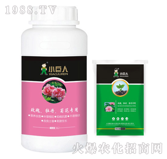 玫瑰、牡丹、菊花專用調(diào)節(jié)劑-小巨人