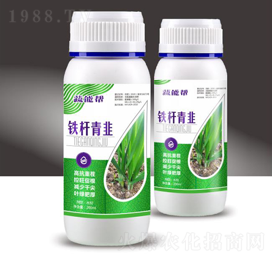 鐵桿青韭-蔬能幫-穗滿倉