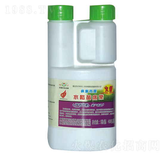 水稻苗床樂-綠源禾谷