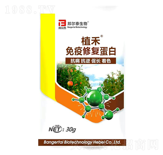 免疫修復蛋白-植禾-邦爾泰