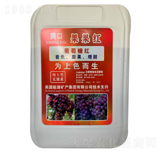 �����t-ˬ��-�µ����