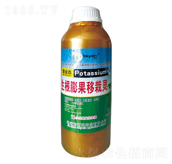生根膨果移栽靈-拓田農(nóng)業(yè)