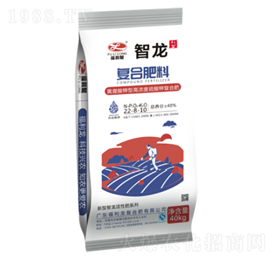 �ͺϷ���22-8-10-����-������