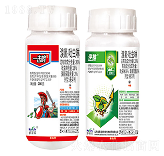 20%衤x(chng)-һQ-