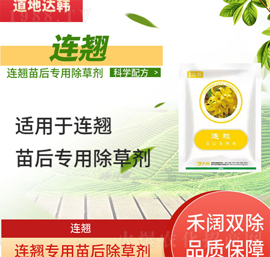 BN݄-BN-BN(zhun)-n