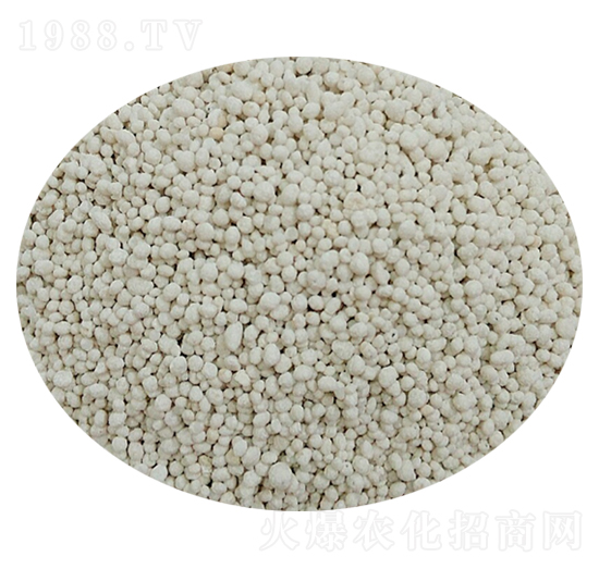D(zhun)ğo(w)-׿