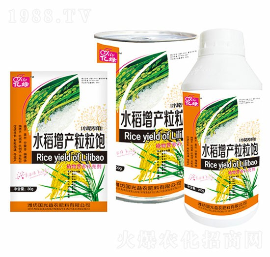 水稻增產(chǎn)粒粒飽-國光益農(nóng)
