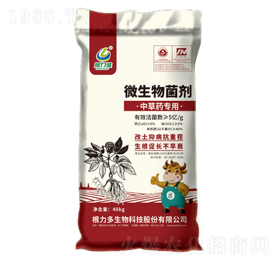 вˎ(zhun)΢-