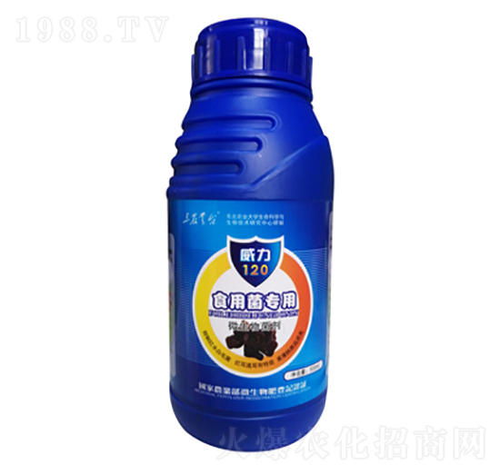 ʳ�þ�����-����120-���_