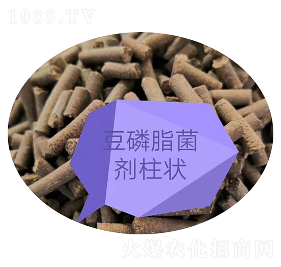 豆磷脂柱狀肥-秋碩農業(yè)