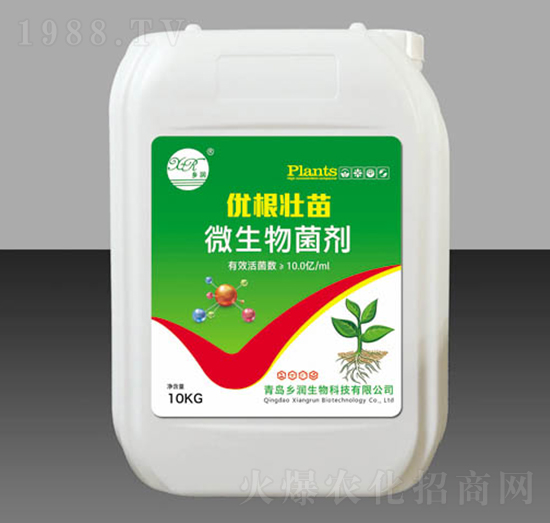 10kg΢-(yu)-l(xing)(rn)
