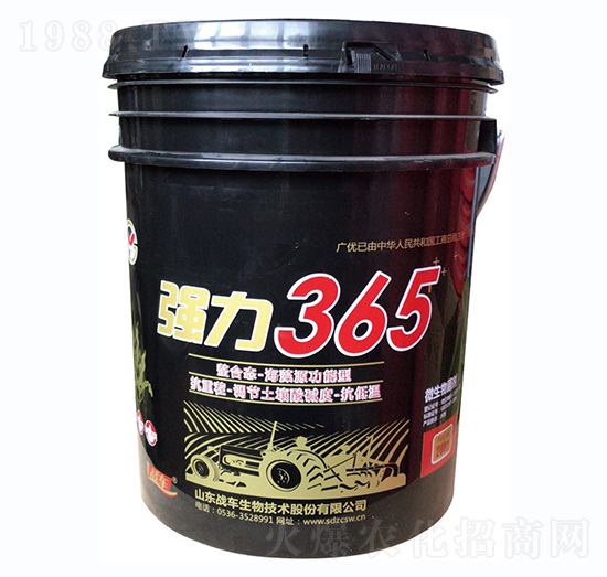 (qing)365-(zhn)܇