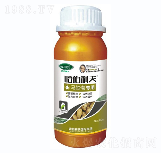 �R��팣��-��������