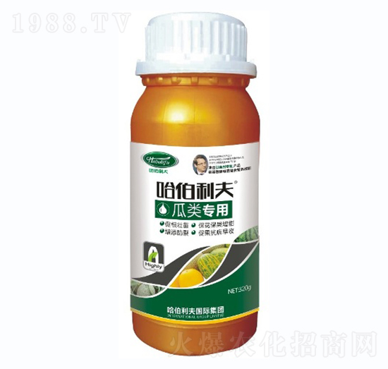 ���(l��i)����-��������