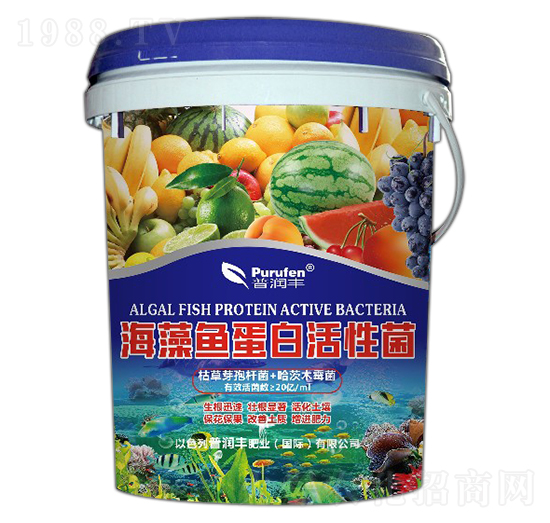 �����~���׻��Ծ�-�՝��S