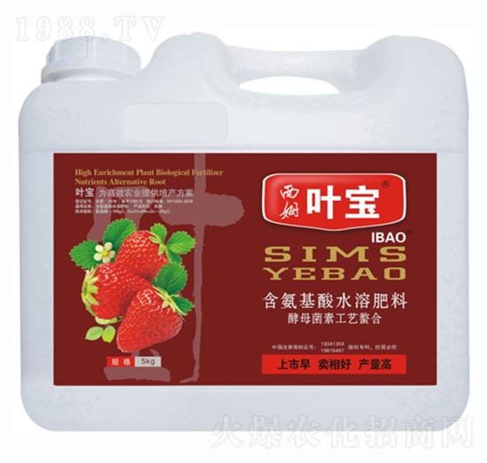 草莓專(zhuān)用含氨基酸水溶肥料-寶葉植物