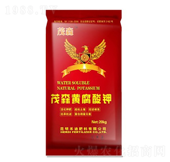 ïɭ�S�����-�̵�