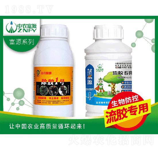 ���z�����������-���r��Դ