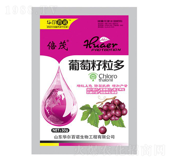 ����������-�A�����Z