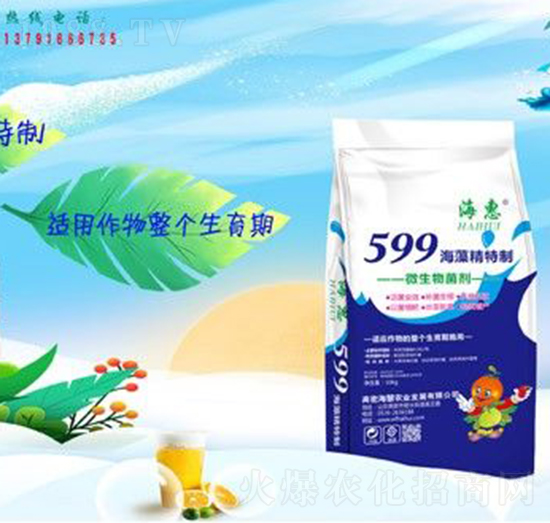 599徫-
